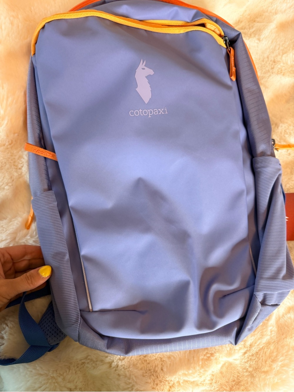 Cotopaxi Blue Backpack with Orange Trim - Men's Daypack nwt - Picture 10 of 10